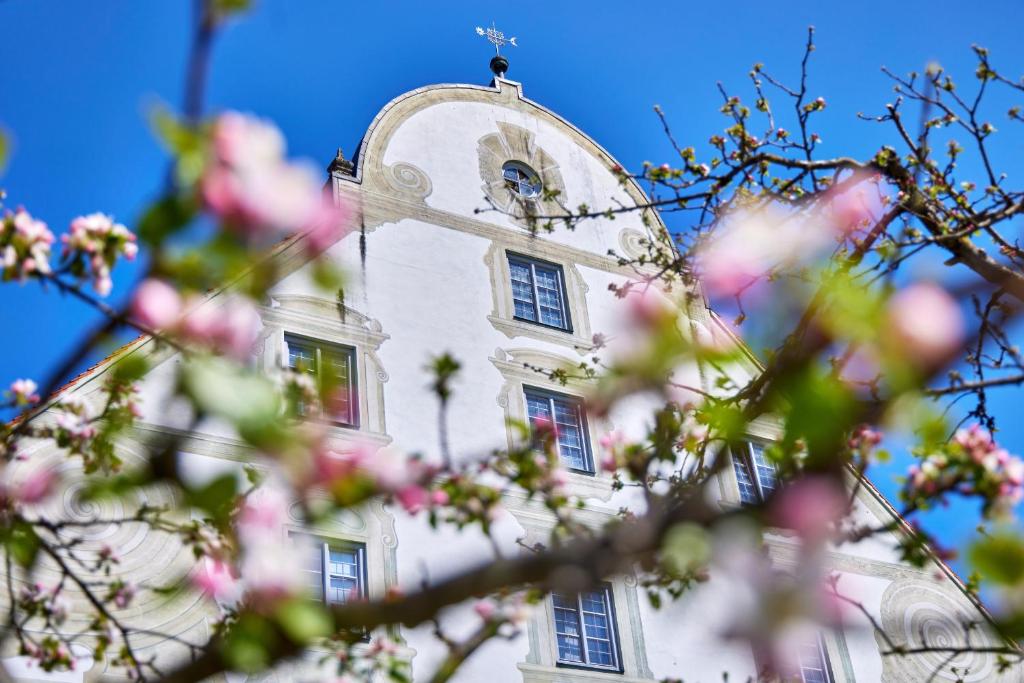 ベネディクトボイアーンにあるZentrum für Umwelt und Kultur - Gästehaus und Jugendbildungseinrichtung im Maierhofのピンクの花の木の後ろに時計塔がある建物