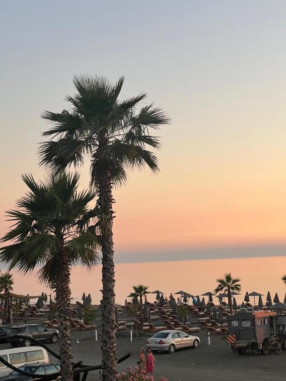 a couple of palm trees in a parking lot at Bert-House close to the sea in Lezhë