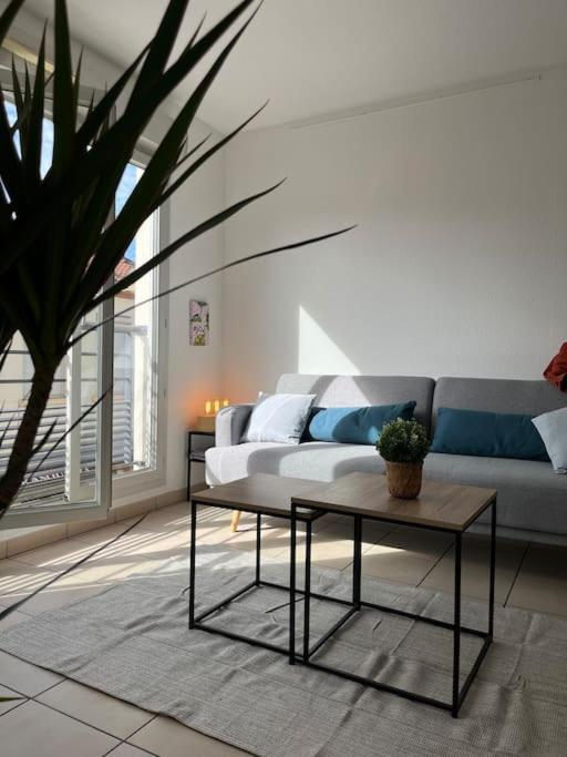 Photo de la galerie de l'établissement Appartement chaleureux, à Villeurbanne