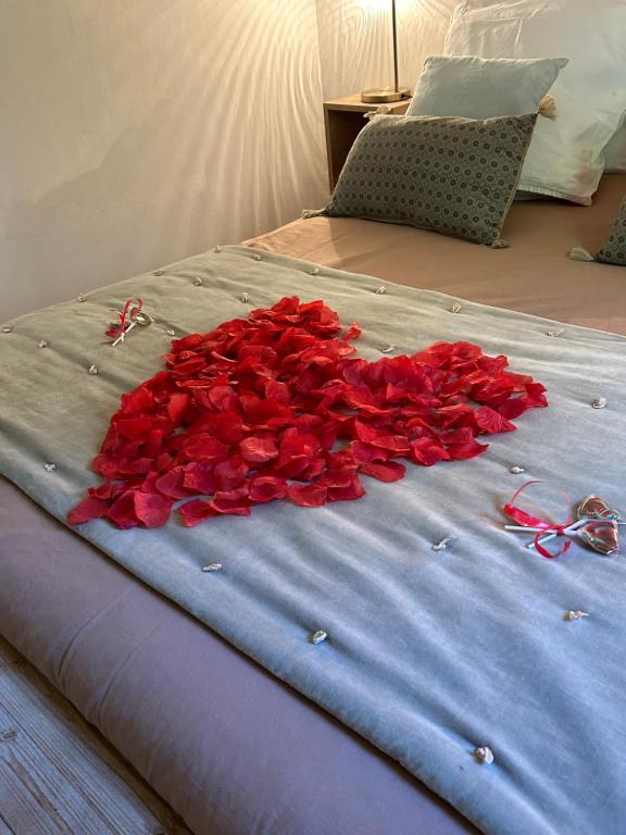 Postel nebo postele na pokoji v ubytování Cocon cosy appart romantique, jacuzzi piscine