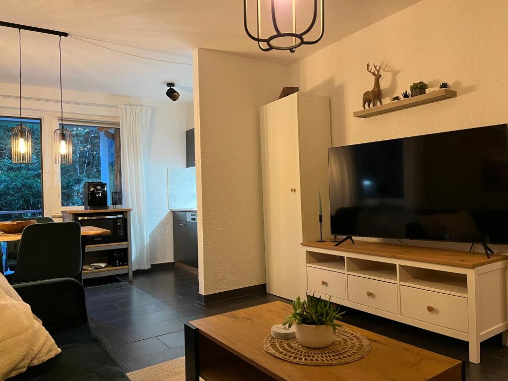 TV a/nebo společenská místnost v ubytování Ferienappartement Schwarzwaldeck in Todtnauberg