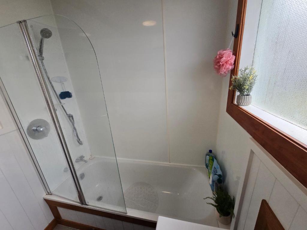 Fun For The Whole Family - Resim 8