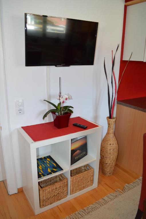 TV a/nebo společenská místnost v ubytování Appartements Strasser Angelika