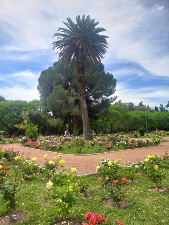 Zahrada ubytování Parque Central