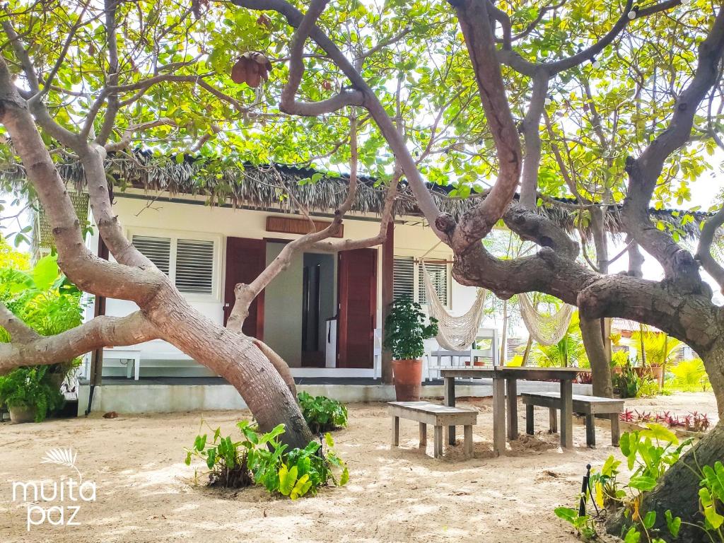 a tree with a bench in front of a house at Casa Mais Amor in Atins