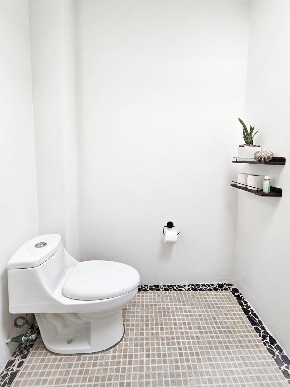 Bagno di Los Temazcales de Xochitepec