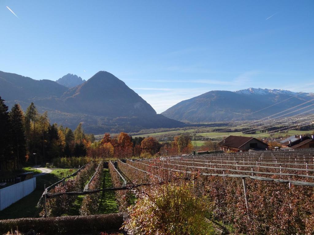 una vista de un viñedo con montañas en el fondo en Haus Zwischenberger, en Dölsach