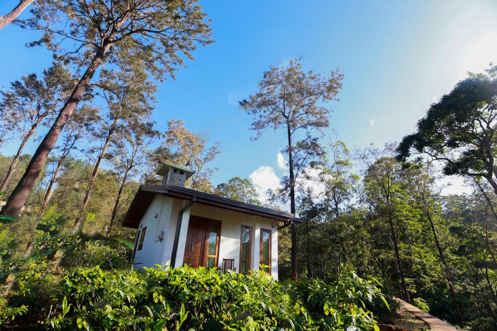 a small house in the middle of a forest at The Green Lush in Pussellawa
