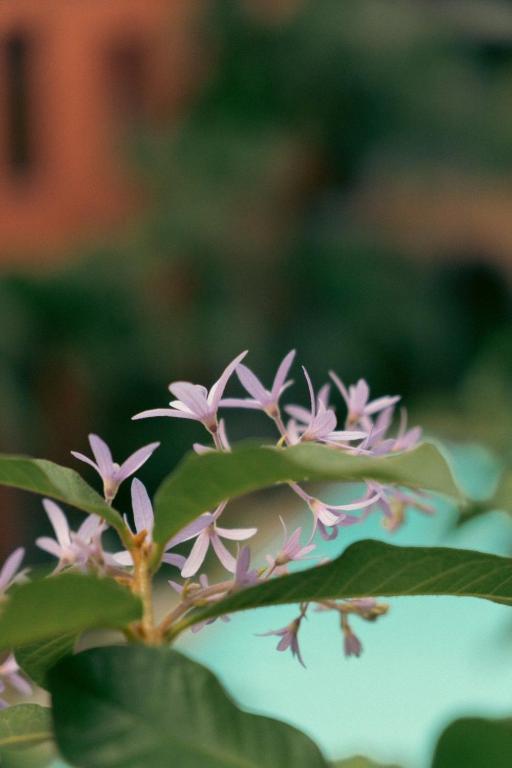 Baansuanprannok Hotel - Resim 32