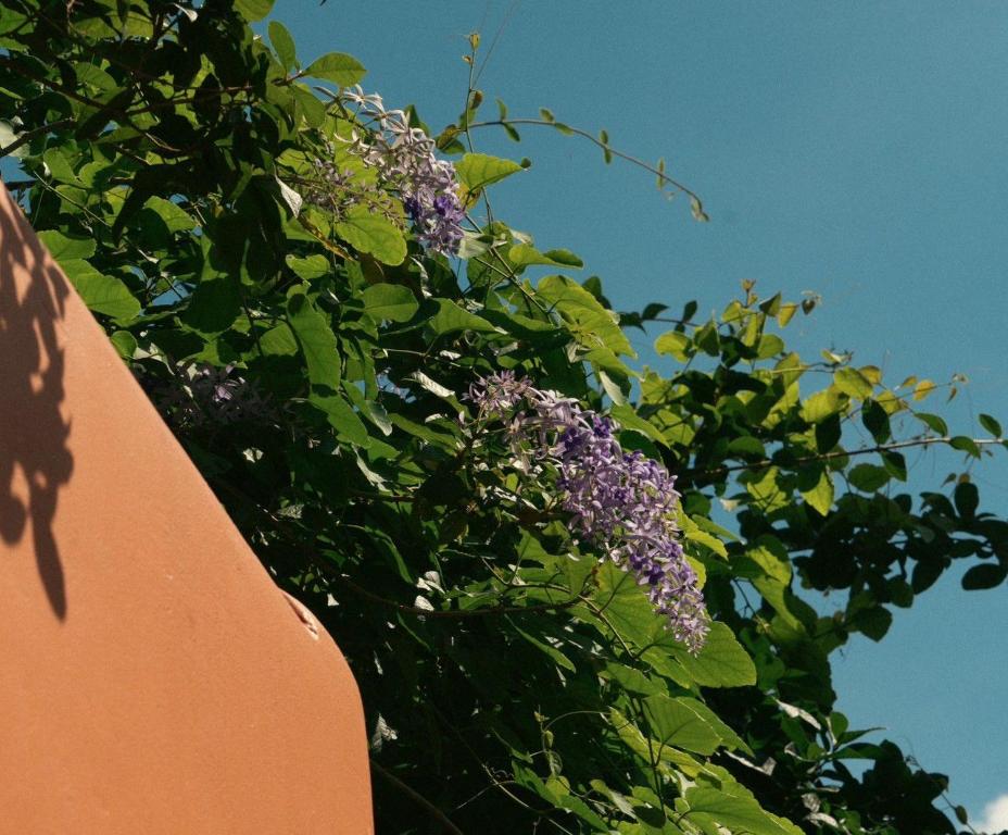 Baansuanprannok Hotel - Resim 35