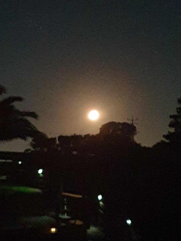 Apartment 2 - Resim 17