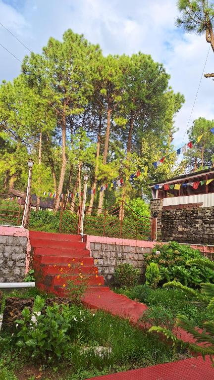 Zahrada ubytování TATHASTU Bir -Homestay ,DORM,HOSTEL