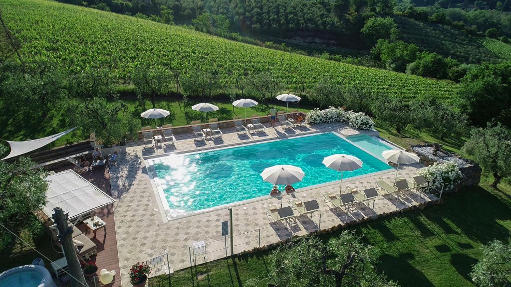 Bazén v ubytování Podere Bellavista nebo v jeho okolí