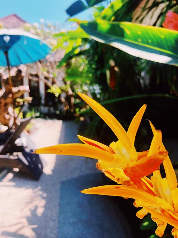 Kalua Boutique Bungalows - 12