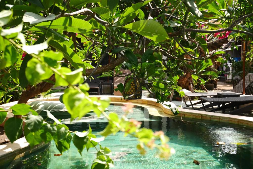 Kalua Boutique Bungalows - 9