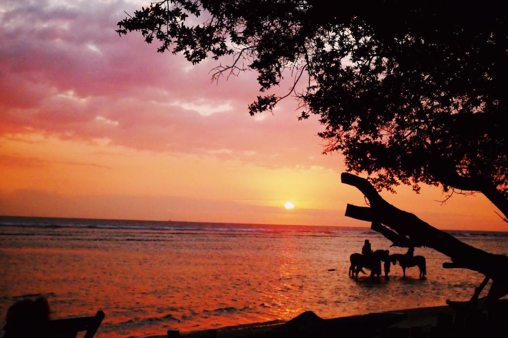 Kalua Boutique Bungalows - 10