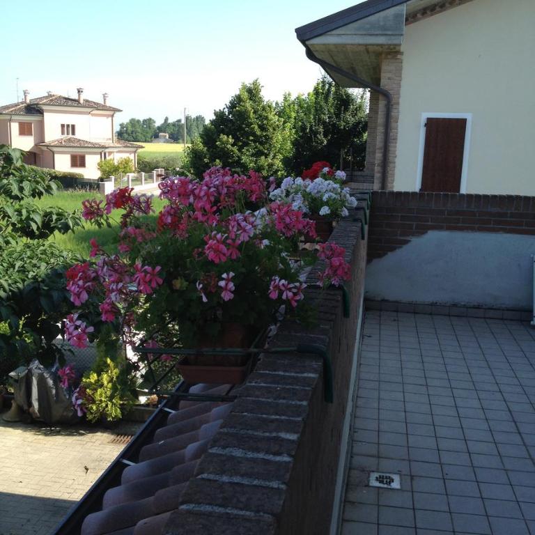 Zahrada ubytování B&B La Salina