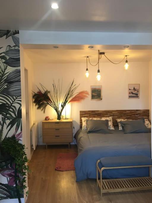 een slaapkamer met een bed en een dressoir met een plant bij la maison d' antoine 2 in Chamalières