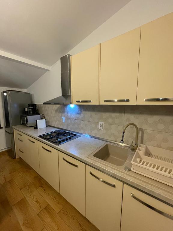 Kuchyň nebo kuchyňský kout v ubytování Vila Panoramic Pestera