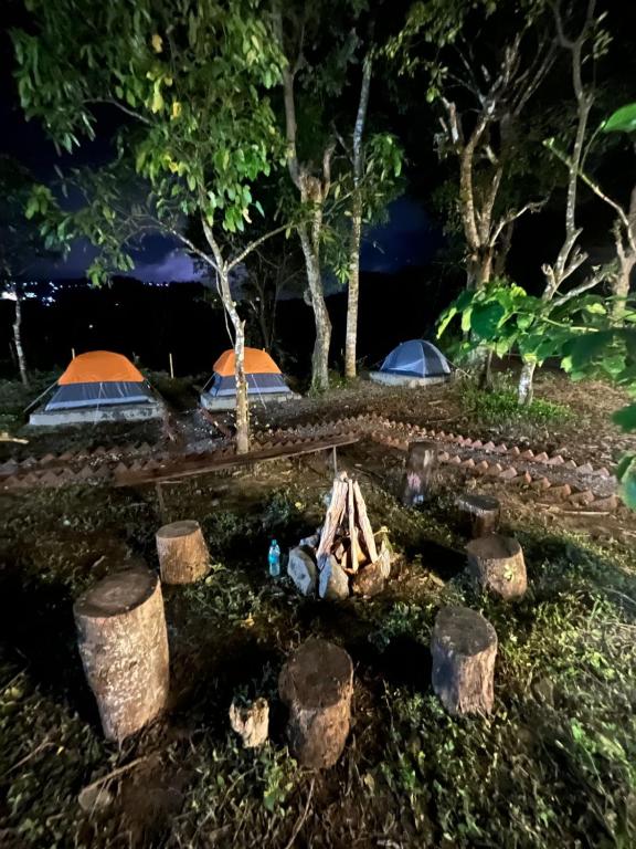 Zahrada ubytování TauSco Homestay & Campsite - Coorg