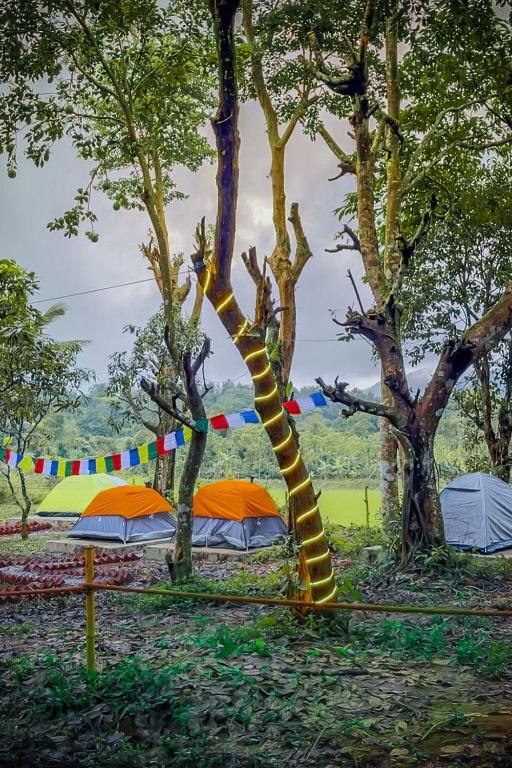 Fotografie z fotogalerie ubytování TauSco Homestay & Campsite - Coorg v destinaci Madikeri
