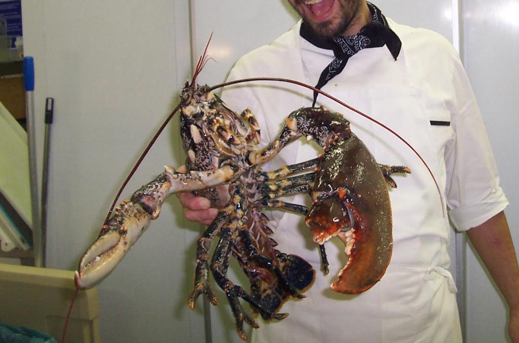 a man is holding a lobster in his hand at Ai Campi Di Marcello Hotel in Monfalcone