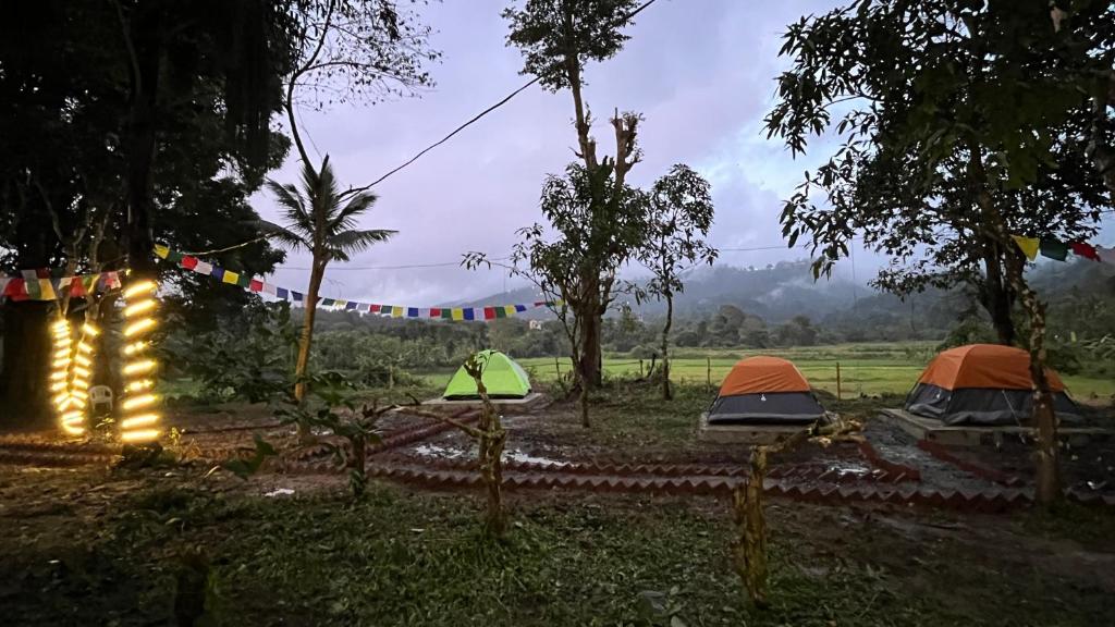 Zahrada ubytování TauSco Homestay & Campsite - Coorg