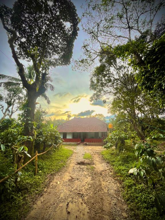 a dirt road leading to a building with a tree at TauSco Homestay & Campsite - Coorg in Madikeri