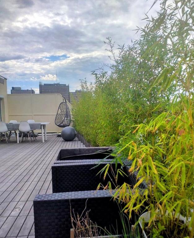 un patio avec une table, des chaises et des plantes dans l'établissement Appartement avec terrasse 50m2 dernier étage Strasbourg centre et proche gare, à Strasbourg