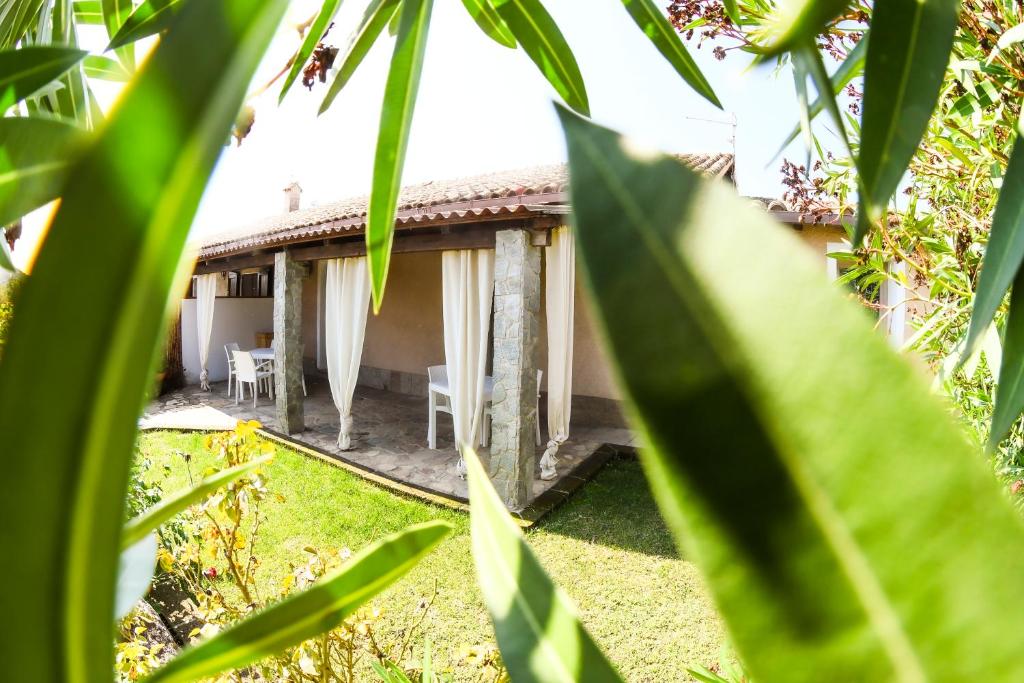 a view of a house from the garden at Domu Virginia in Castiadas