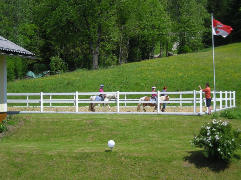 Hosté ubytování Am Ferienbauernhof Schmiedbauer com Salzkammergut