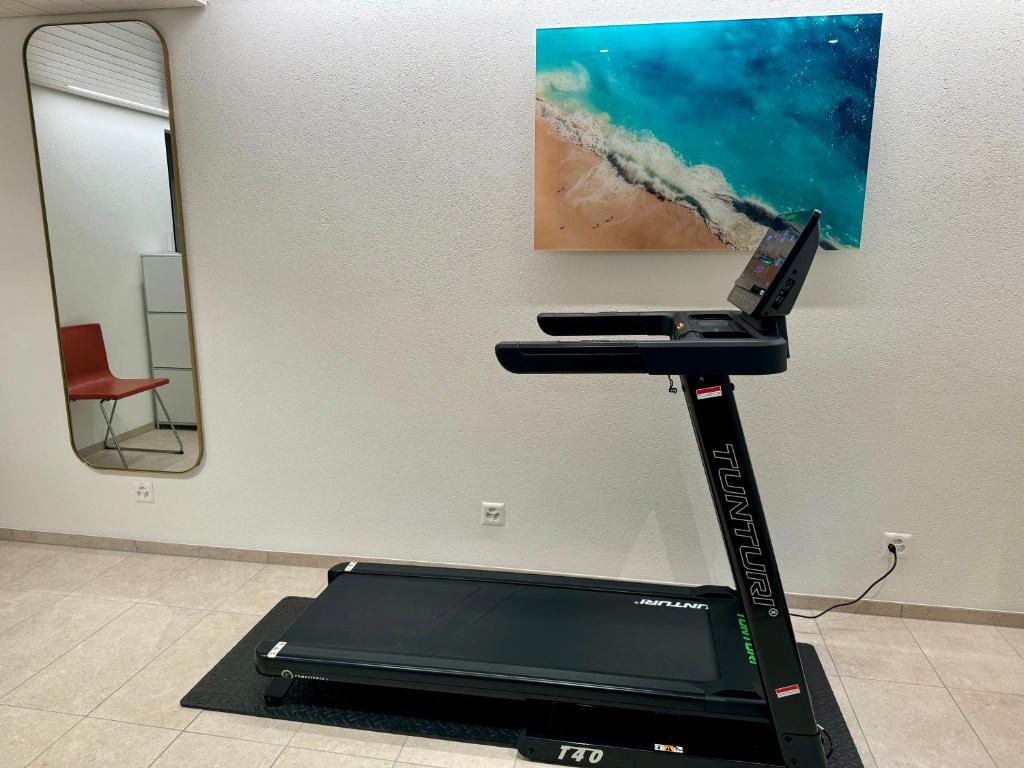Fitness centrum a/nebo fitness zařízení v ubytování Residence Mutschellen