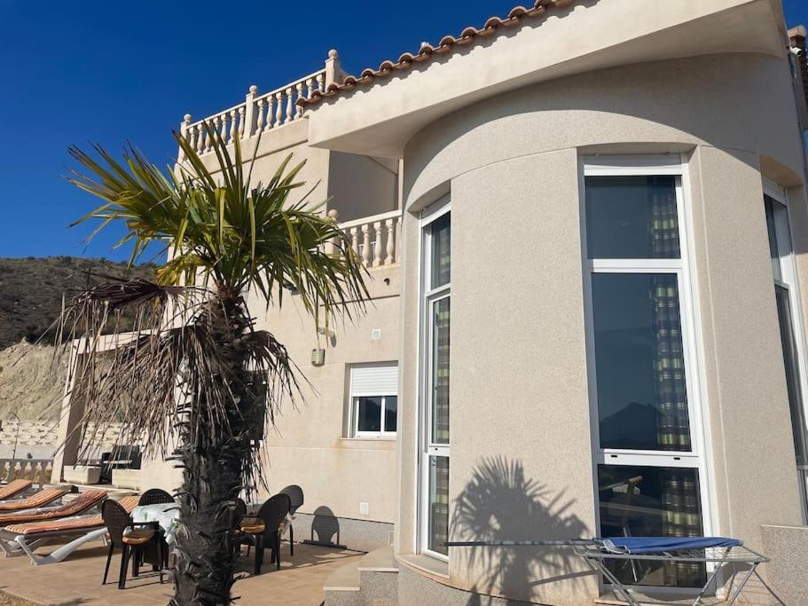 a house with a palm tree in front of it at Villa Del Sol in Alicante