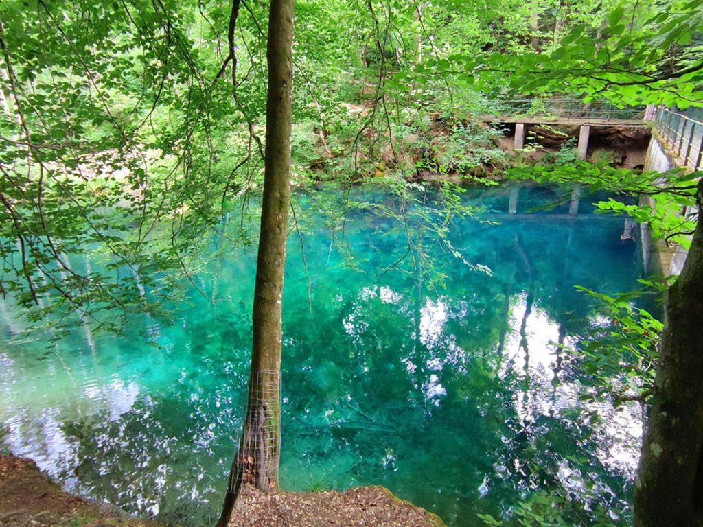a pool of blue water in the middle of a forest at Ferienwohnung auf dem Dorf in Pürgen