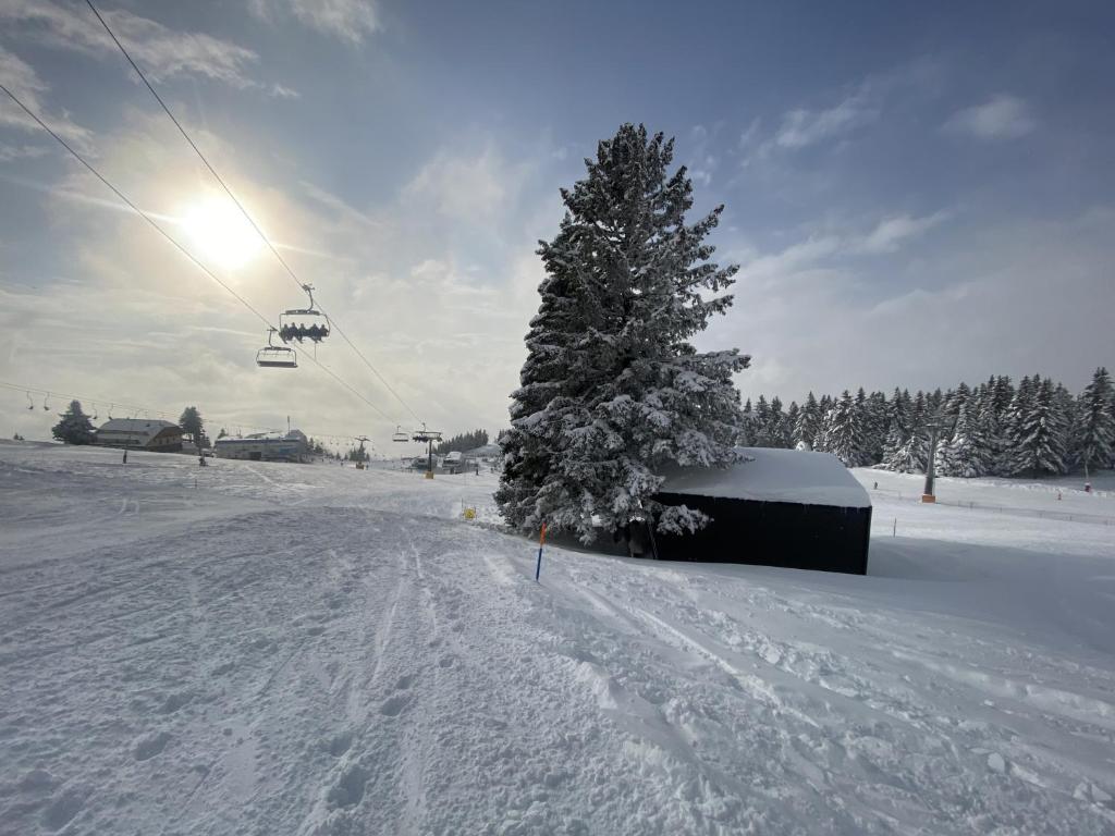 Panorama Krvavec Ski-in, Ski-out v zimě
