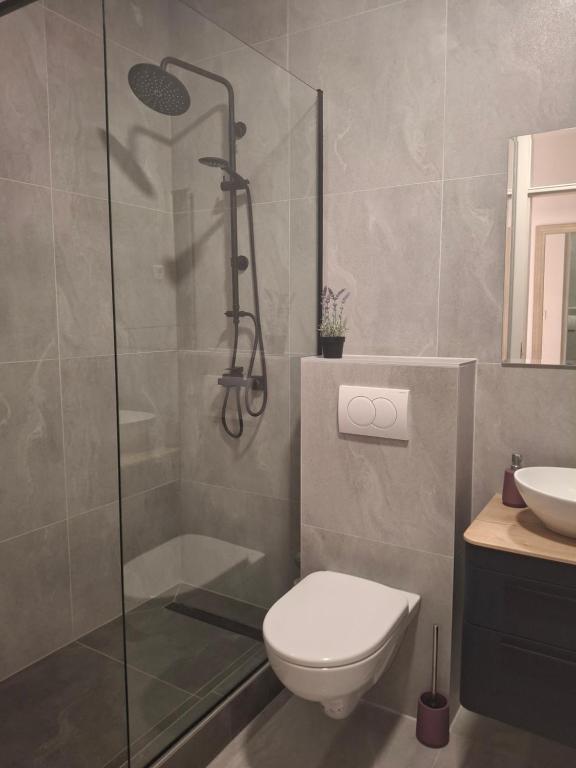 Koupelna v ubytování Apartman Tena