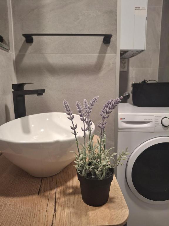 Fotografie z fotogalerie ubytování Apartman Tena v destinaci Vukovar