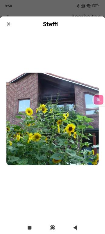 un campo de flores amarillas frente a un edificio en Steffi, en Hannover