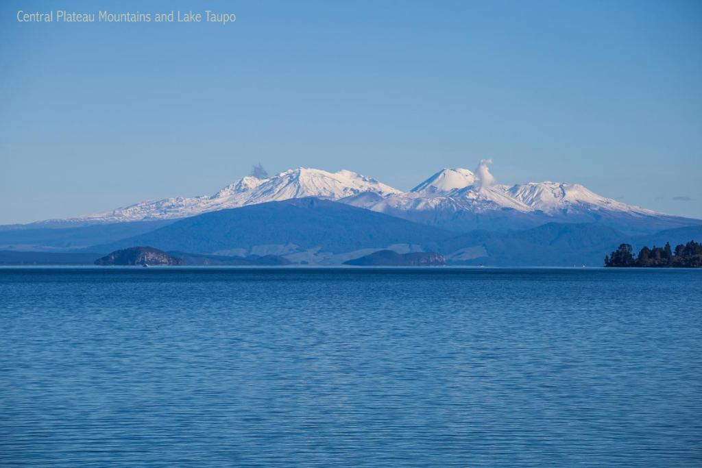 Phoenix Thermal Resort - Taupo - Resim 18