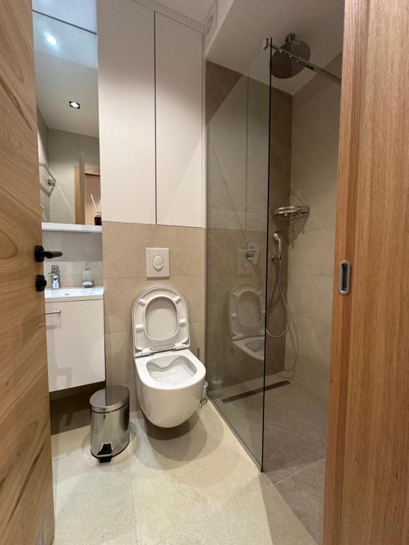 a small bathroom with a toilet and a shower at Apartman Mraz - Aparthotel Zlatni Javor in Jahorina