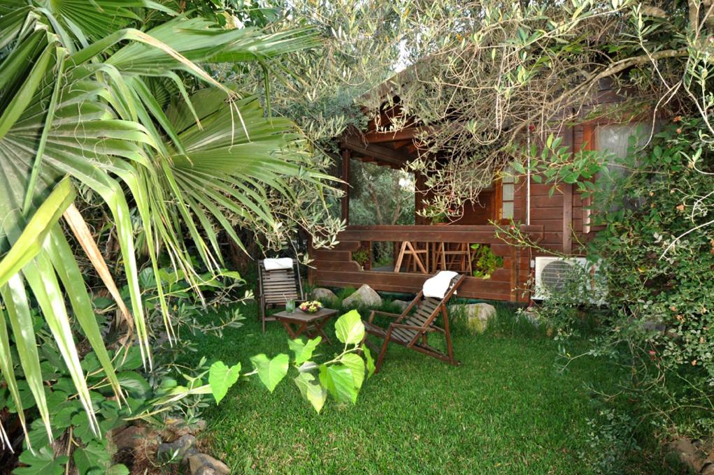 Eli Ad的住宿－橄欖園溫泉度假屋，庭院内的花园配有两把椅子和一张桌子