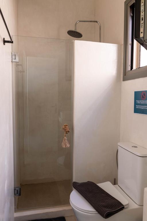 a shower in a bathroom with a toilet at Deja Blue Villa 1 in Agios Georgios