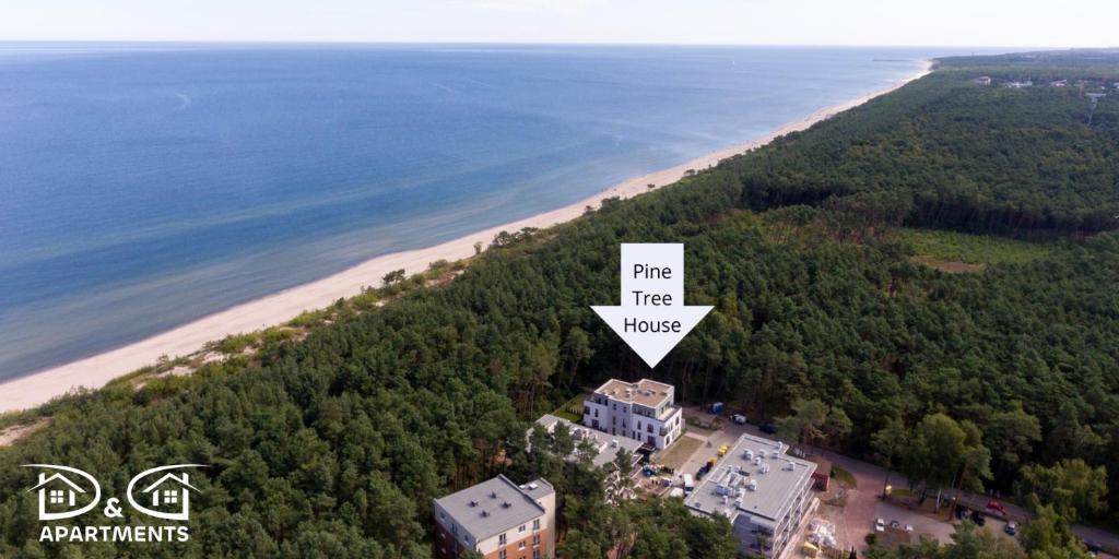 an overhead view of a tree house next to the beach at Pine Tree House 9 D&D Apartments in Międzywodzie