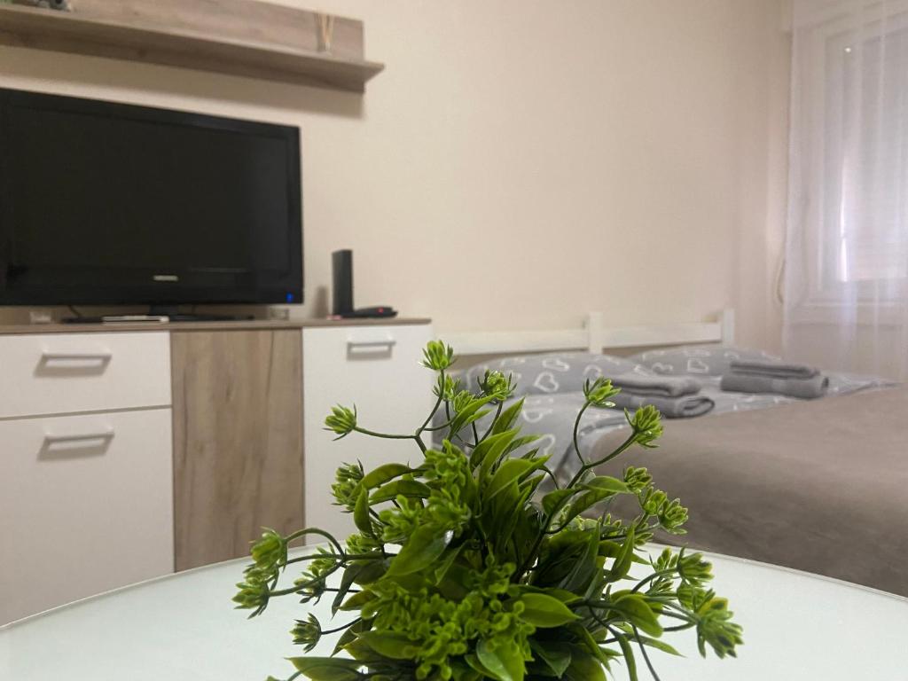 un soggiorno con TV e tavolo con piante di Apartman Lea a Paraćin