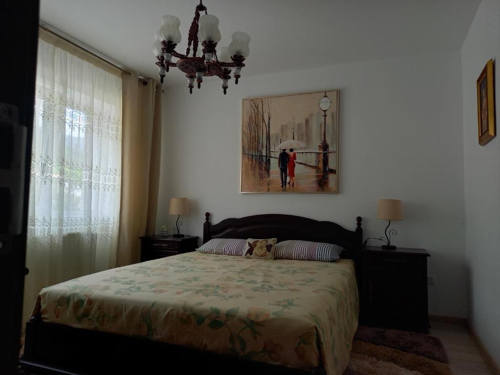 Postel nebo postele na pokoji v ubytování Apartament Elena