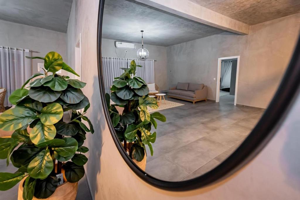 Fotografie z fotogalerie ubytování Palms Lodge v destinaci Lopes