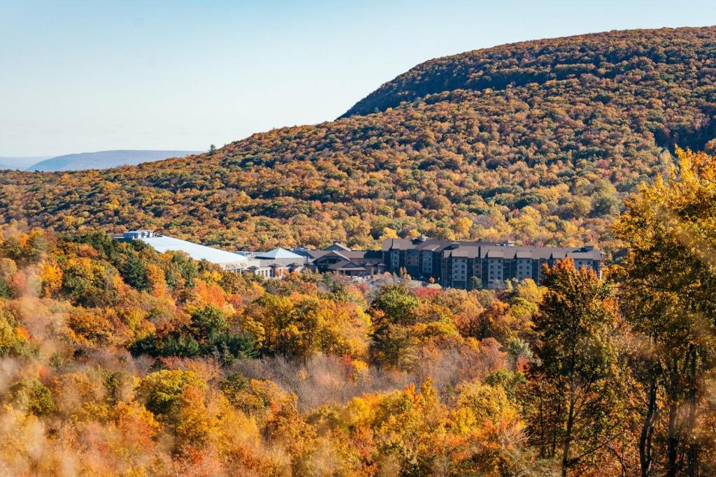 a building in the middle of a hill with trees at Camelback Resort in Tannersville