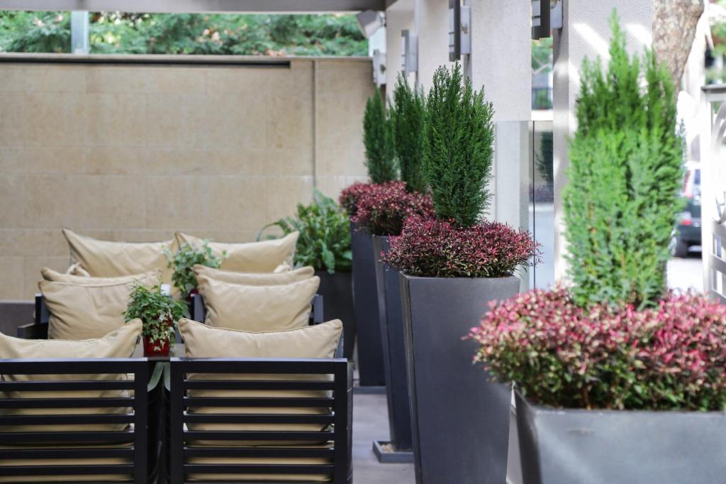 The Y Hotel - Resim 45