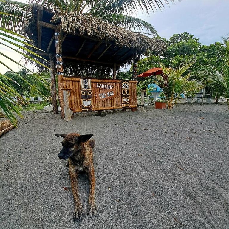 Ospiti di Villa Las Mellizas con animali domestici
