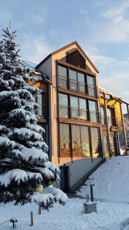 una casa con un pino en la nieve en eco boutique hotel AMS Beagle, en Bled
